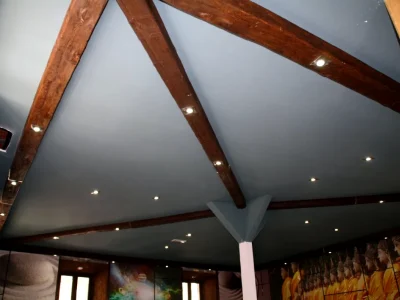 Estructura de madera e iluminación del techo
